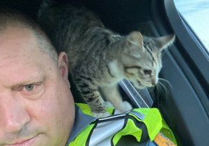 WSP Trooper saves stray cat while responding to crash