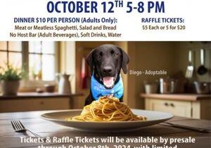 Mikey’s Chance Canine Rescue to host fundraiser on Oct. 12 in Kennewick
