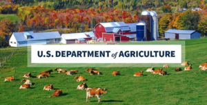 Pig on Oregon is first in the nation to test positive for bird flu