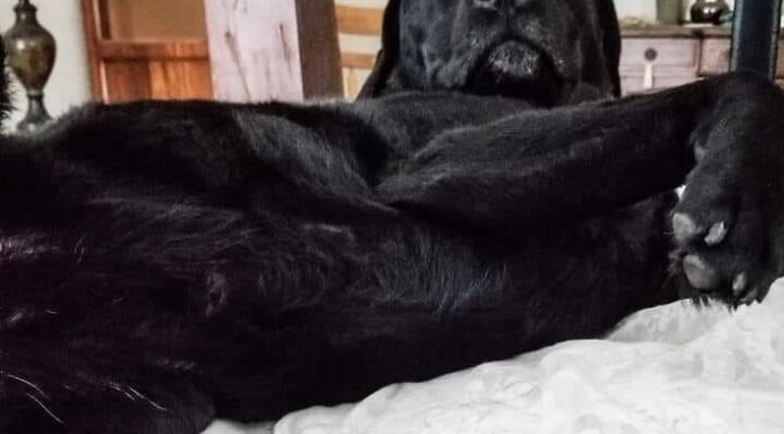 DaleWard-720x399jpg | Fox 11 Tri Cities Fox 41 Yakima