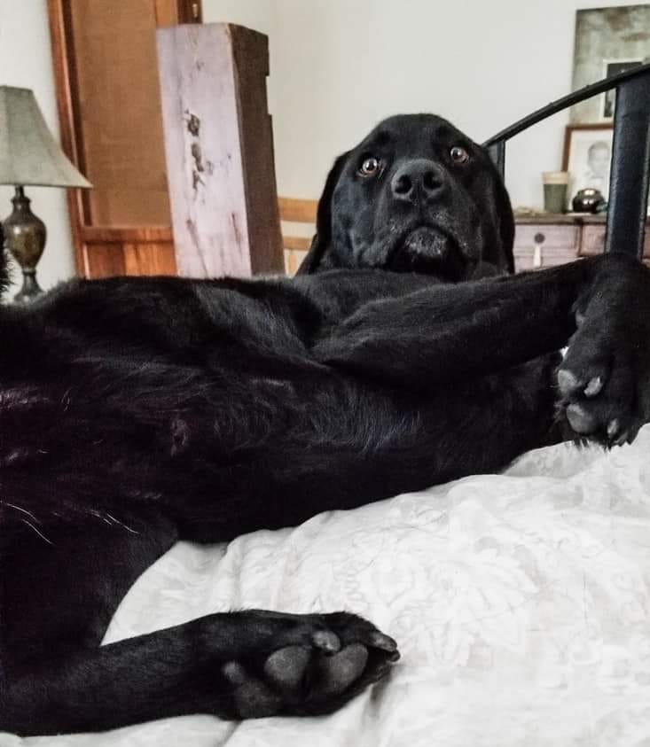 DaleWard | FOX 28 Spokane