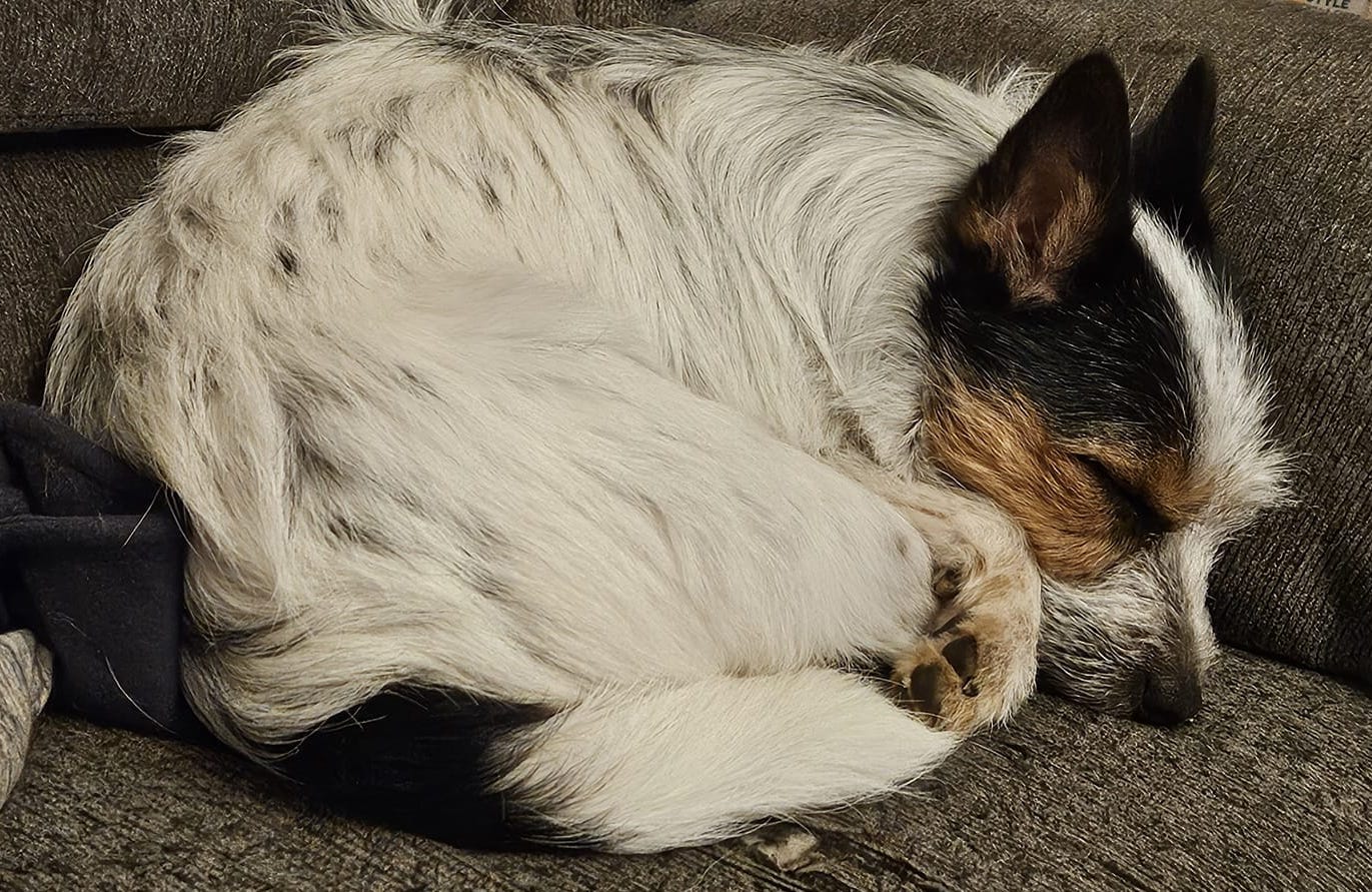 MichelleBrady | FOX 28 Spokane