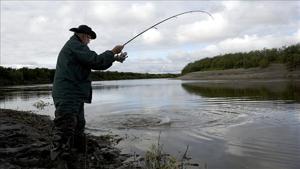 5bfdb3c80ff08imagejpg | Fox 11 Tri Cities Fox 41 Yakima