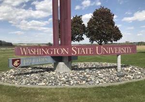 WSU Tri-Cities launching social work program in 2025