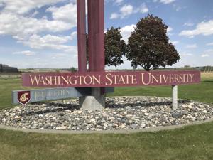 5cca43b0ebdcfimagejpg | Fox 11 Tri Cities Fox 41 Yakima