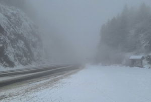 672508bdb181eimagepng | Fox 11 Tri Cities Fox 41 Yakima