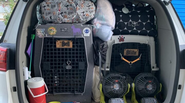 LaurieSchlossnagle1-720x399jpg | Fox 11 Tri Cities Fox 41 Yakima