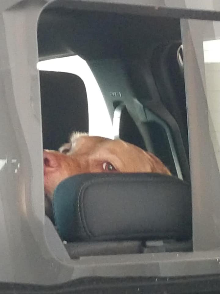 TrishRyan | FOX 28 Spokane