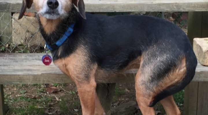 EileenAnderson-720x399jpg | Fox 11 Tri Cities Fox 41 Yakima