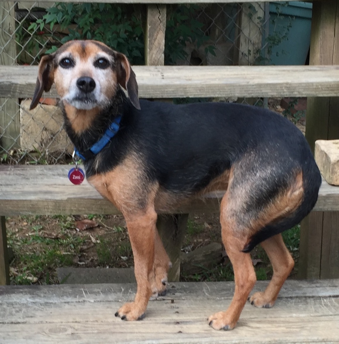 Zani fear panic | FOX 28 Spokane