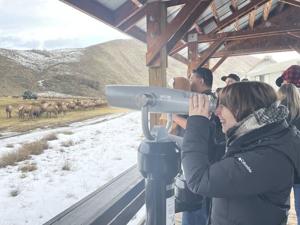 677f0b81a4a33imagejpg | Fox 11 Tri Cities Fox 41 Yakima