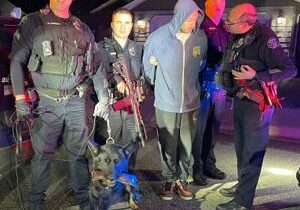 Pasco burglar dances mid-crime