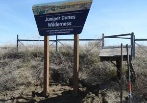 Bureau of Land Management searching for Juniper Dunes Wilderness sign