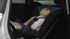 5d803af06bbe0imagejpg | Fox 11 Tri Cities Fox 41 Yakima