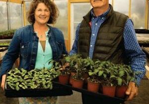 Business Spotlight: Local Pumpkin Produce Box