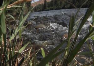 Yakima Basin faces third consecutive drought year