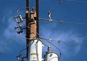 Fish causes power outage at Hanford Site