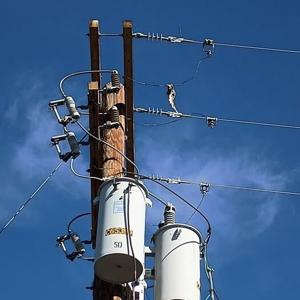 67dcae56a2ae6imagejpg | Fox 11 Tri Cities Fox 41 Yakima