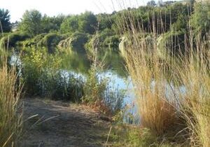 Richland to enhance parks and facilities with $40K fund; projects await council approval