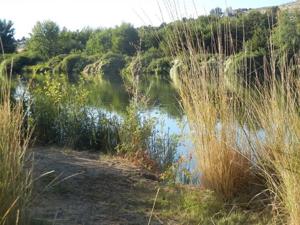 67e4dd454b033imagejpg | Fox 11 Tri Cities Fox 41 Yakima