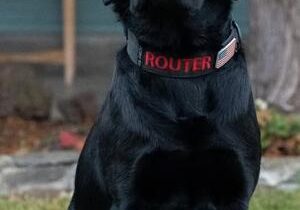 Yakima K9 to receive body armor donation