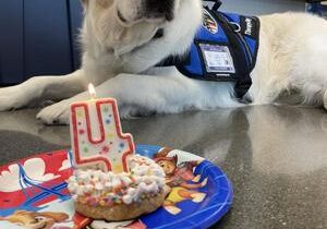 WRPD celebrating K9 Polar’s 4th birthday with pet food drive