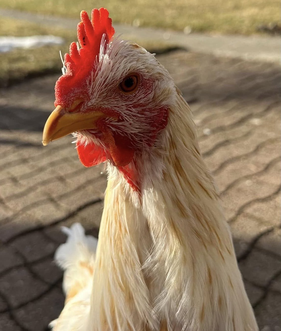 DarceyByrne | FOX 28 Spokane