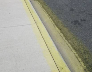 67eef5f286c44imagepng | Fox 11 Tri Cities Fox 41 Yakima