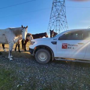 67f5e372df570imagejpg | Fox 11 Tri Cities Fox 41 Yakima