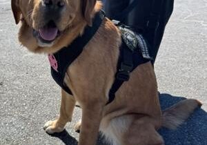 K-9 Blaze delights students at Kiona Benton Elementary