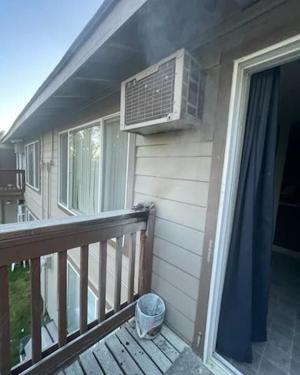 680878d0cdf27imagejpg | Fox 11 Tri Cities Fox 41 Yakima