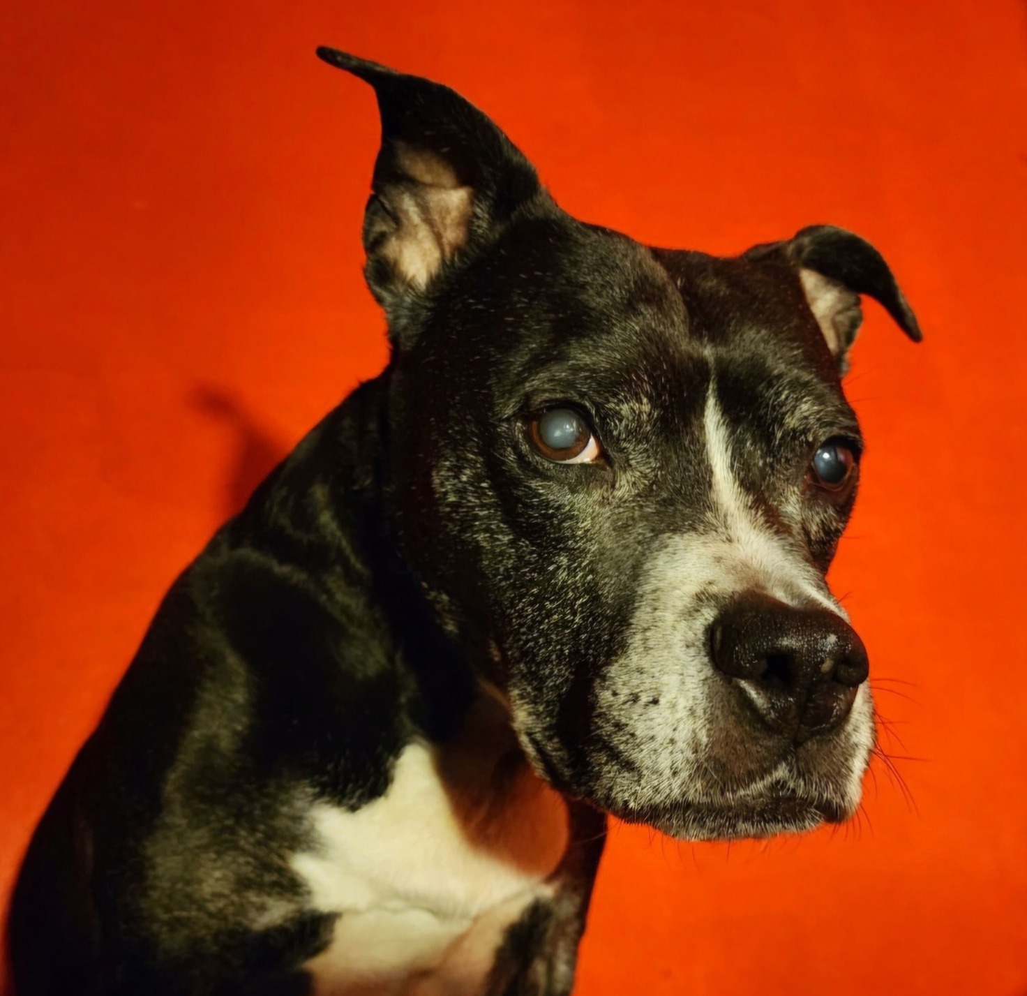 JessicaTheisendeGonzalez | FOX 28 Spokane