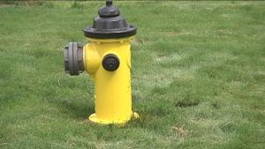 5bfdd1be622b7imagejpg | Fox 11 Tri Cities Fox 41 Yakima