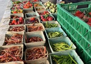 Increase in roadside sales prompts Pasco to consider enforcement options