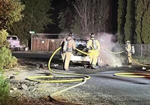 One arrested for possession of stolen property after Finley vehicle fire