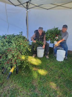 681b7a633ec18imagejpg | Fox 11 Tri Cities Fox 41 Yakima