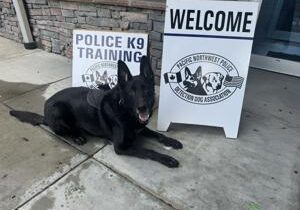 Pasco hosts 2025 PNW K9 Conference with top dog trainers