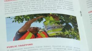 Invasive pest survey underway across Washington state