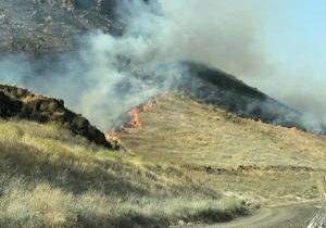 Les Blair Fire burns 510 acres near orchard south of Finley, crews continue efforts