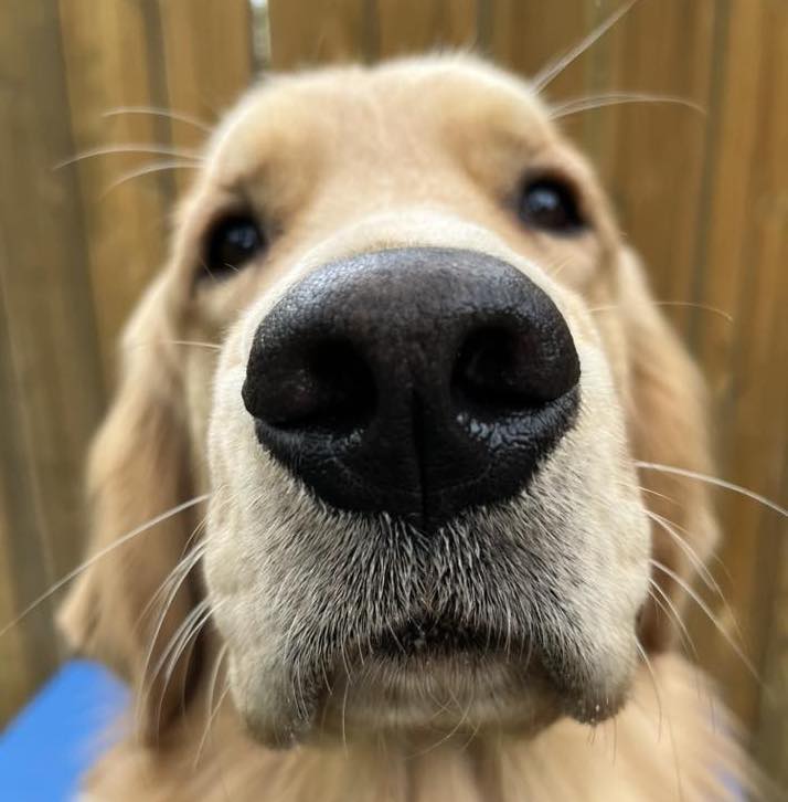 JillGibbs | FOX 28 Spokane