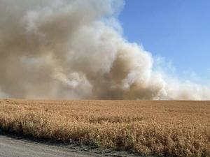 685f33fb83209imagejpg | Fox 11 Tri Cities Fox 41 Yakima