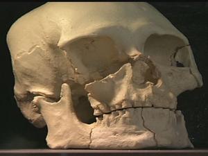 5bfdb9772d373imagejpg | Fox 11 Tri Cities Fox 41 Yakima