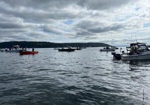 New sockeye limits along the Columbia River: What anglers need to know this summer