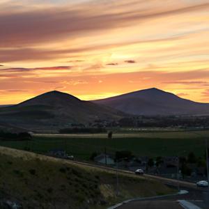 68802b9d76722imagejpg | Fox 11 Tri Cities Fox 41 Yakima