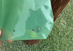 649236b7a91deimagejpg | Fox 11 Tri Cities Fox 41 Yakima