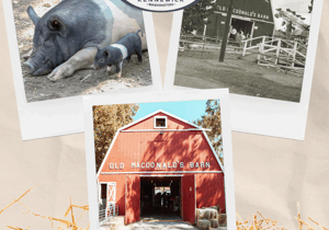 Old MacDonald’s Barn turns 50 at Benton Franklin Fair