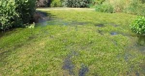 68b1055a30bb2.image.jpg | Fox 11 Tri Cities Fox 41 Yakima