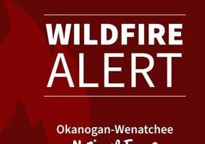 Wildcat Fire expands to 1,000 acres; Naches area closures updated