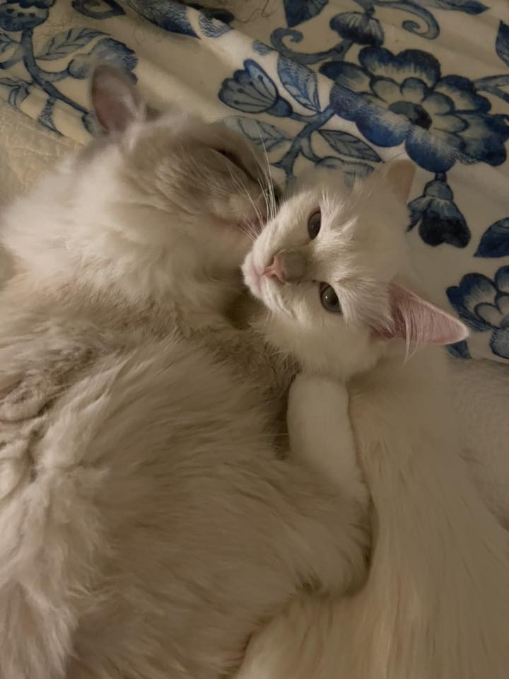 ElizabethBerniceScott | FOX 28 Spokane