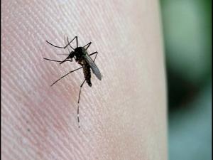 5bfdba126a2d3.image.jpg | Fox 11 Tri Cities Fox 41 Yakima